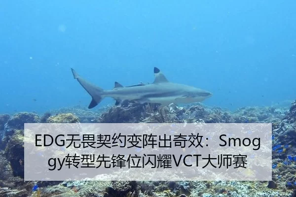 EDG无畏契约变阵出奇效：Smoggy转型先锋位闪耀VCT大师赛